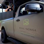 Royal Thonga Open Vehicl