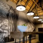 Royal Thonga Reception