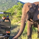 Zulu Nyala Game Reserve game drive